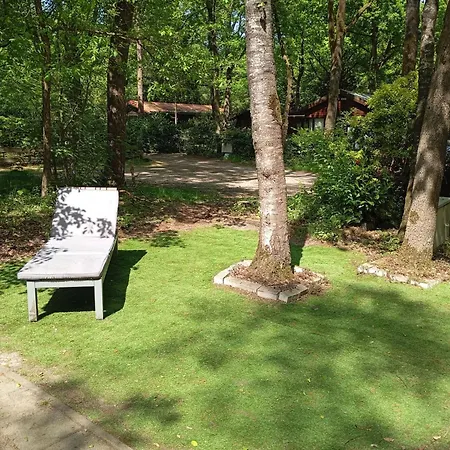 Chaletpark Kempenbos - 112 By Interhome Diessen